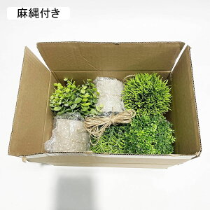 lHϗtA 4_Zbg ~j   lH~ X i ƒ    tFCNO[ v[g zj  ̓ _ԂɍœK ȒP Q