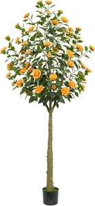 O o ItBX CeA CeAO[ ^  tFCNO[ lHϗtA j JXj ̓ bsv ₷  A _ԂɍœK Mtg