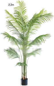 lHϗtA ^ AJV  lH X i ƒ  Vv    tFCNO[  j fRp O[i[Ct bsv ₷ 12