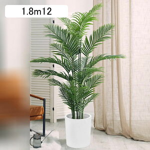 AJV lHϗtA ^  lH~ X i ƒ    tFCNO[ v[g zj  ̓ _ԂɍœK ͂Ȃ sv b炸 A