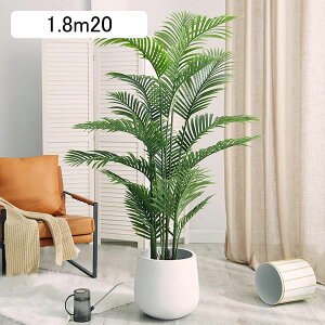 AJV lHϗtA ^  lH~ X i ƒ    tFCNO[ v[g zj  ̓ _ԂɍœK ͂Ȃ sv b炸 A