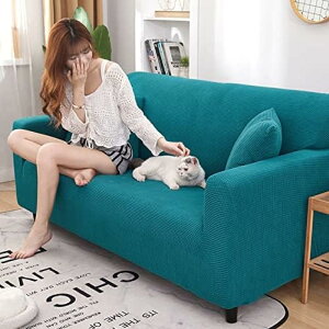 \t@[Jo[ 1l|2l| 3l| It Lkӂ[΁[ \t@Jo[ 235*300CM  k lGp Xgb` ~ _炩 \t@[ی L Lkf ho h