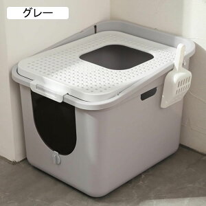 LpgC{ ^ h[^ tJo[ LgC F 傫TCY   LюUh~ Lh~ ܂肽 XRbvt S L gC LpgC