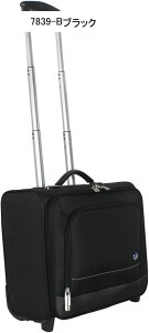 \tgL[P[X @ rWlX X[cP[X e y L[obO É ϏՌ 360x] L[P[X Lknh gN LX^[ rWlX s o 