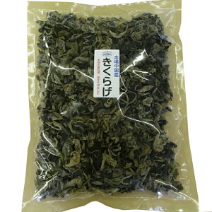 ؗ̕Ki@炰Ղ500gyRCPz