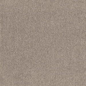 yAbVuEzOWA[ ^CJ[ybgyTCYF50cm×50cmz{ X^Cp _炩iC ϋv JbgpChi d h_j  OKybg