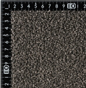 sAJbg iC J[ybgy]ˊ6 261cm×352cmz{ iC100% Vv n イhH h_jH LH  hH FVітh~ dH 