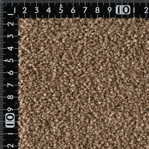 sAJbg iC J[ybgy]ˊ10 352cm×440cmz{ iC100% Vv n イhH h_jH LH  hH FVітh~ dH 