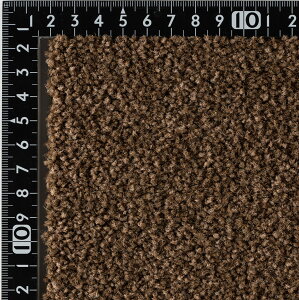 sAJbg O J[ybgyTCYF300cm×350cmz{ iC100% Vv n イhH h_jH LH  hH FVітh~ dH ϔMH 