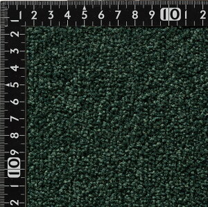 sAJbg iC J[ybgy]ˊ10 352cm×440cmz{ iC100% Vv n イhH h_jH LH  hH FVітh~ dH 