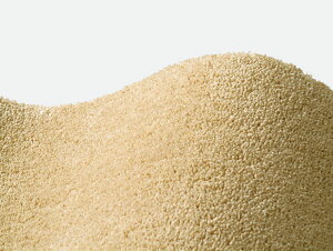 X~g j[ TL\j[ OY [g hJ[ybgy]ˊ6 261cm×352cmzy{z X~mG O ~ߕth h_j L Չ Vііh~gΉEzb