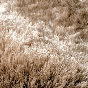 X~mG lIOX VM[O J[ybgyTCYFa100cm(~`)zy{zOWA[S[WX NEOGLASSh h_j AubN ~߉HgΉ zbgJ[yb