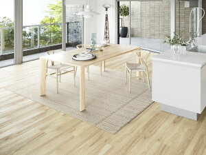 X~mG J DKEbh _CjOOyTCYF170cm×220cmzy{z􂦂郉O  ې @OK EHbVug[Ή zbgJ[ybgΉ~ߕt O J[y