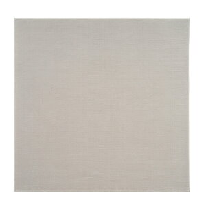 �X�~�m�G HAKU �n�N ���O �J�[�y�b�g�y�T�C�Y�F��190cm×190cm�z�y���{���z�h�����H �g���v���t���b�V��II(���L�@�\)���g�[�Ή� �z�b�g�J�[�y�b�g�Ή�����~�ߕt�� �V�ііh�~minimal luxe �T�L�\�j