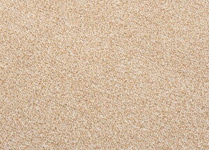 X~mG TEhwCY h fXN}bgyTCYF130cm×160cmz{n JbgpC }bgh_jH AubN Vііh~gΉ zbgJ[ybgΉ