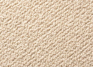 X~mG TEh |R hJ[ybgyTCYF]ˊ6 261cm×352cmzn [vpC Oh_jH AubN Vііh~gΉ zbgJ[ybgΉ