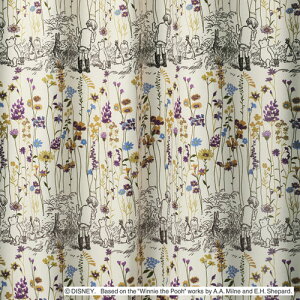 fBYj[ ܂̃v[ K[fvCX J[eyTCYF100cm×178cmzy2gzDisney POOH garden place curtainy{zyKiz`LH J[eՌ2 ېOK!EHb