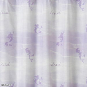 fBYj[ vZX ANA [XJ[eyTCYF100cm×133cmzy2gzdisney PRINCESS Aqua lace curtainېOK!EHbVu J[ey{z