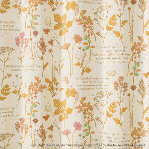fBYj[ v[ t tY ՌJ[eyTCYF100cm×135cmz{Disney POOH From friends ܂̃v[EHbVu `LH Ռ3 J[e[iԁFM-1211EM-1212]h