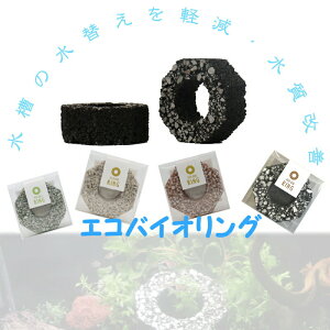  p P 򉻍 GREoCIO     BIGBIO BB ꏜ ێ ւy | GRoCIO