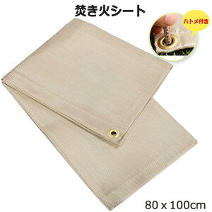 ylɃngtzϔMV[g ΃V[g(100x80cm) Xpb^V[g ω΃V[g ΑV[g ΑV[g o[xL[ BBQ   AEghA LvV[g KX@ې