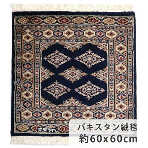 pLX^O~@60cm x 60cm E[ VN ` r  u[ F ` ~jO 􉽊w͗l  炩 cc TT zbgJ[ybgΉ g[Ή  I[V[Y 