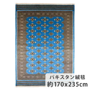 y10OFFIyVX[p[SALEIz pLX^O~ 170cm x 235cm u[ E[ _CjOTCY 3 F r VR 炩 cc  zbgJ[ybgΉ g[Ή I[V[Y