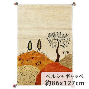 yVMbx@t@CNIeB 86cm x 127cm փ}bg E[100% i` ̎ R r VR ӂӂ RR  hXP[v i zbgJ[ybgΉ g[