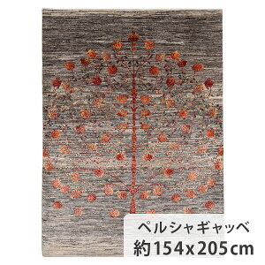 Mbx JVN 154cm x 205cm rO 2 E[ r VR ӂӂ RR  i M UN ̎ g[Ή zbgJ[ybgΉ I[V[Y N t 