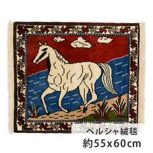 yVO~  55cm x 60cm ԐF F bh u[ ` 􉽊w͗l r E[  _  n z[X zbgJ[ybgΉ g[Ή  I[V[Y N i _