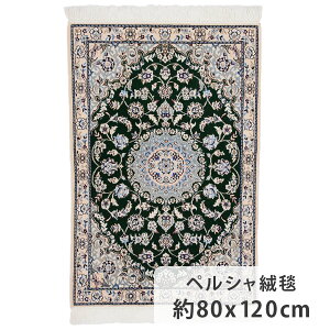 yVO~ iCY 80cm x 120cm փ}bg O[ ΐF _I ͗l E[ VN r  킢   zbgJ[ybgΉ g[Ή I[V[Y N 