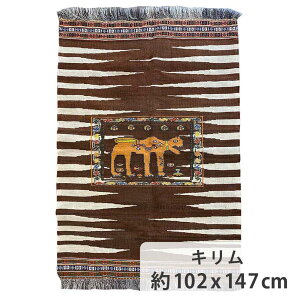 CIL L 102cm x 147cm rO uE E[ ^yXg[ Ǌ| CeA F r VR ς CI  Aj} zbgJ[ybgΉ g[Ή I[V