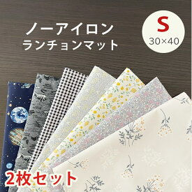 ランチョンマット 子供用 小学校 小学生 保育園 幼稚園 撥水 ノンアイロン 30×40cm 小さめ ランチ ランチョン マット 長方形 給食ナフキン 男の子 女の子 ランチマット ナフキン お弁当 ギフト 通学グッズ 入学準備