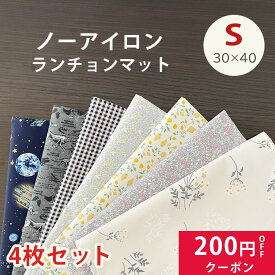 ランチョンマット 子供用 小学校 小学生 保育園 幼稚園 撥水 ノンアイロン 30×40cm 小さめ ランチ ランチョン マット 長方形 給食ナフキン 男の子 女の子 ランチマット ナフキン お弁当 ギフト 通学グッズ 入学準備