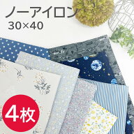 ランチョンマット 【4枚セット】撥水 30×40cm ランチ ランチョン マット ナフキン 拭ける 給食 小学校 …