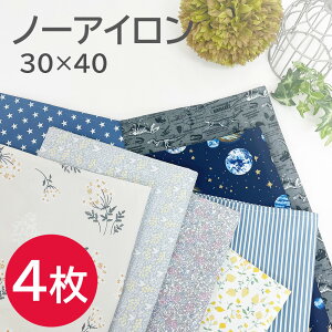 ランチョンマット 【4枚セット】撥水 30×40cm ランチ ランチョン マット ナフキン 拭ける 給食 小学校 小学生 保育園 幼稚園 長方形 給食ナフキン 男の子 女の子 子供 ランチマット ナフキン