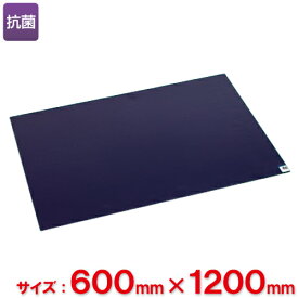 【送料無料】【法人専用】テラモト　粘着マットシートBS　600×1200mm　MR-123-743-3