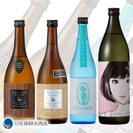 【ポイント2倍 05/23 20:00-05/27 01:59】 焼酎セット 紅乙女酒造 焼酎4本セット 720ml×3（麦）900ml×1（胡麻）