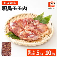 【抽選で100％ポイントバック】 【新潟親鳥】 親鳥モモ肉 5kg 業務用 もも肉 鶏肉 鶏 モモ 親鳥 冷凍 お…