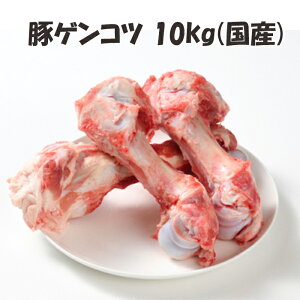 Y y؃QRcz 1kg/p×10pbN v10kg  񂱂   ؍X[v X[v o`  ؍[  