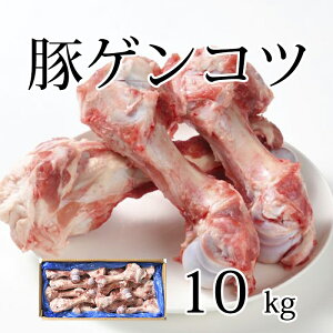 Y y؃QRcz10kg  񂱂   ؍X[v X[v o`  ؍[ Ⓚ  