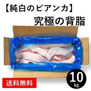 VY ỹrAJ ɂ̔wz 10kg/  w  [X[vɂ Ⓚ 