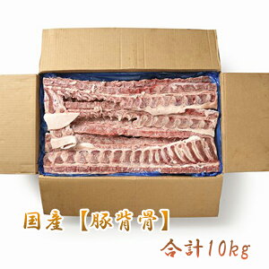 Y yؔwz10kg  w  Ɩp [ɂ͒   