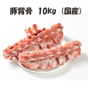 Y yؔwz 1kg/p×10pbN v10kg  w  [ɂ͒   