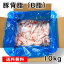 国産 【豚背脂 (B脂)】 10kg 豚 背脂 脂 お取り寄せ ラーメンスープに最適 だし 業務用 背脂 ラーメン 美味しい おい…