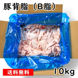 国産 【豚背脂 (B脂)】 10kg 豚 背脂 脂 お取り寄せ ラーメンスープに最適 だし 業務用 背脂 ラーメン 美味しい おいしい