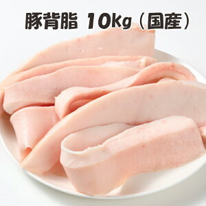 Y yؔwz 1kg/p×10pbN  w   [X[vɍœK  Ɩp w [  