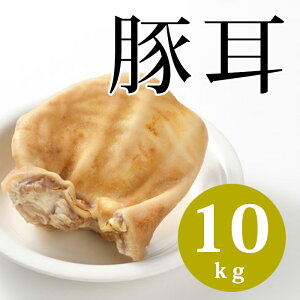 Y y؎z 10kg ~~K[ɂ  ؓ  Ⓚ   