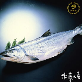 熟成新巻鮭(中塩)約3.0kg(丸)