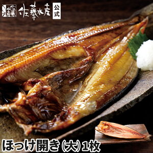 قJ()1